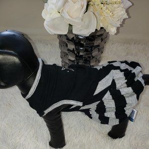 You Are A Star (Small Dog)